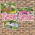 Flower Garden